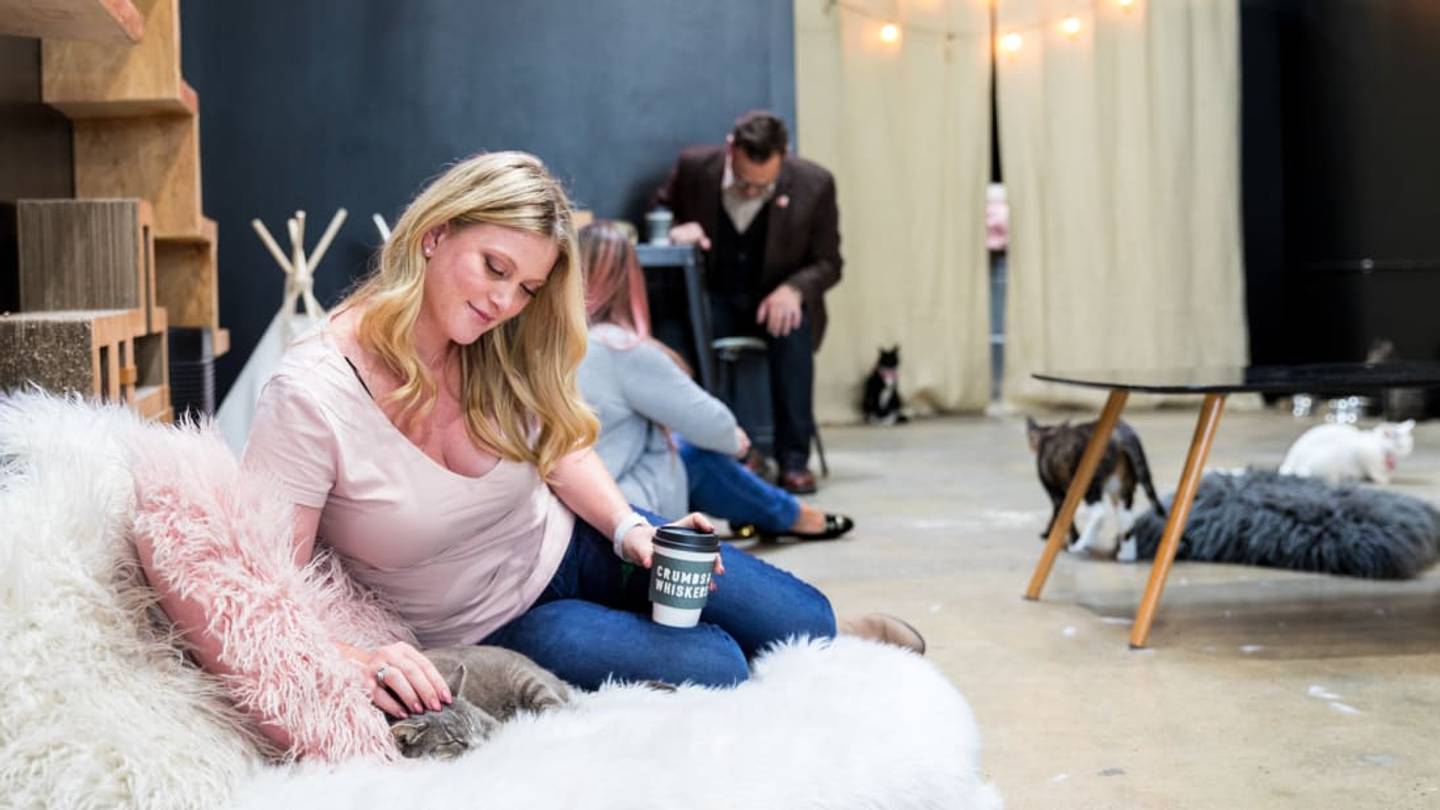 Inside Crumbs & Whiskers, the Bicoastal Cat Cafe That's Saving Kitties' Lives