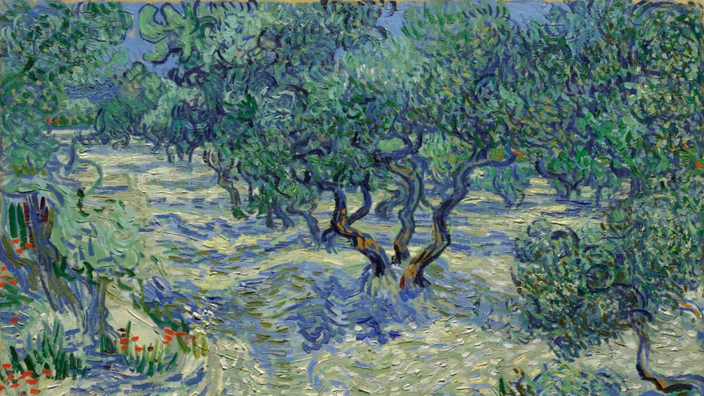 Conservators Discover Grasshopper Embedded in van Gogh Painting