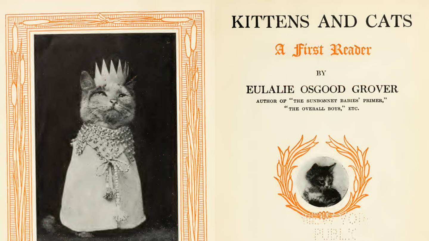 The School Book That Pioneered Funny Cat Pics 100 Years Before Lolcats