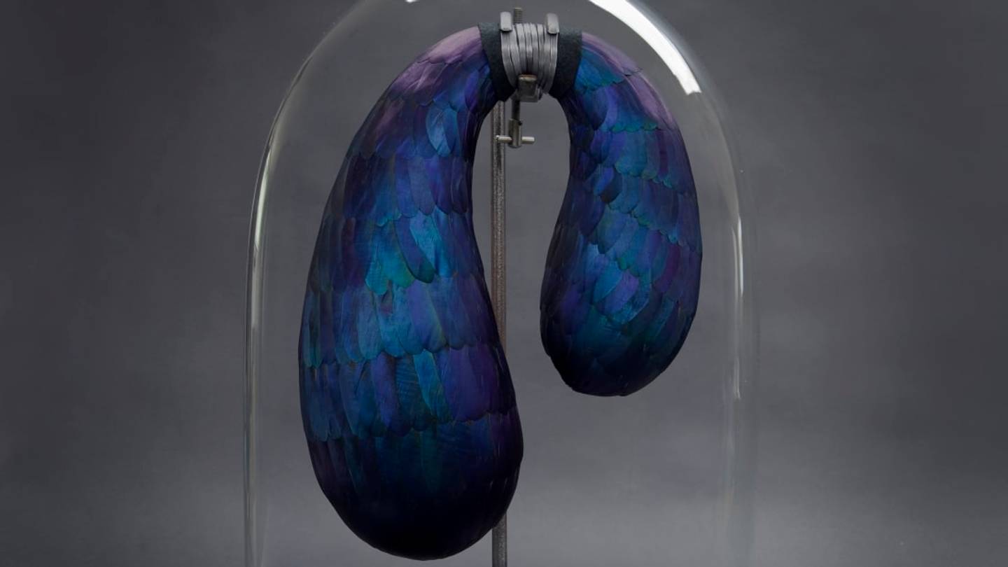 Surprising Sculptures Made From Fallen Feathers