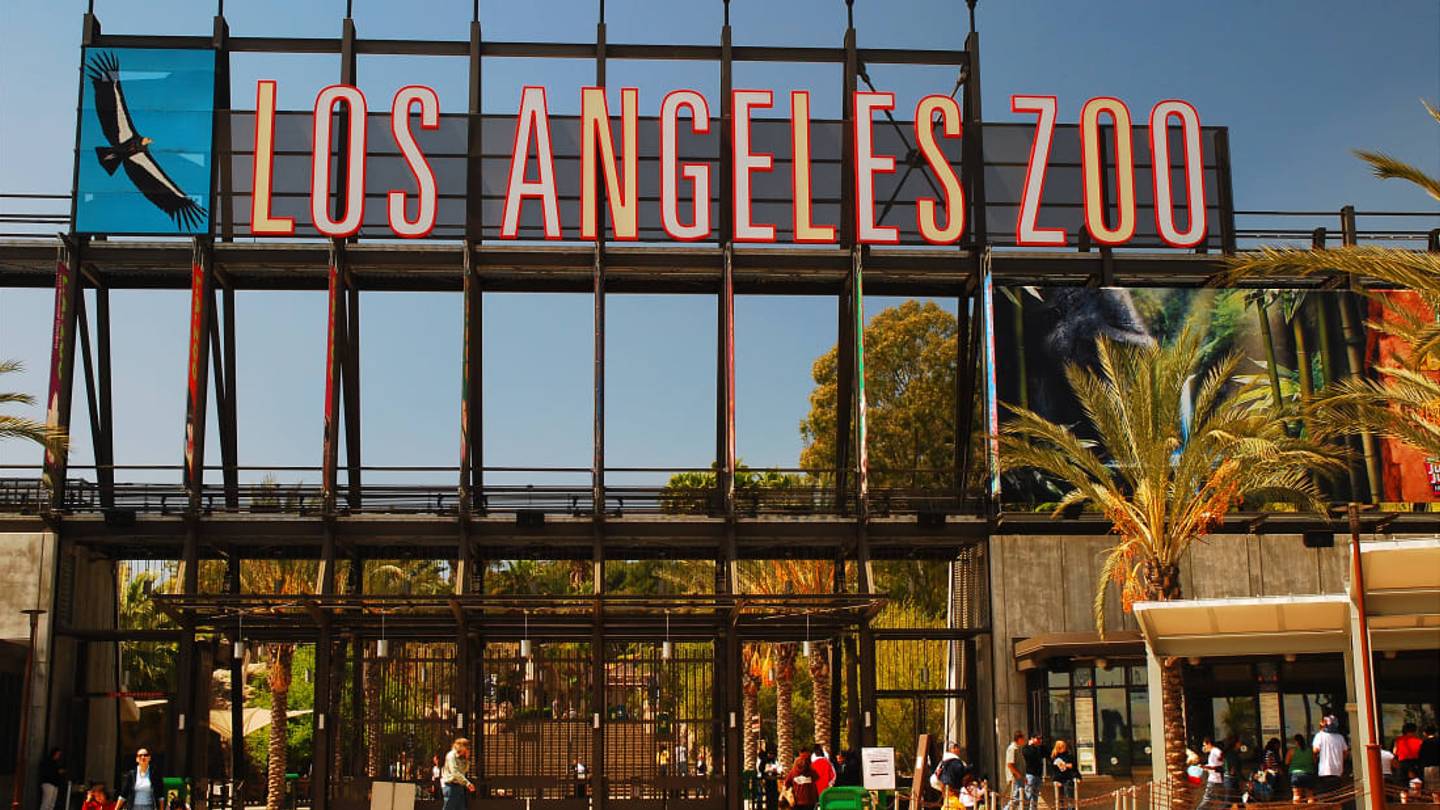 How the Los Angeles Zoo Protects Its Animals During Wildfires and Other Emergencies