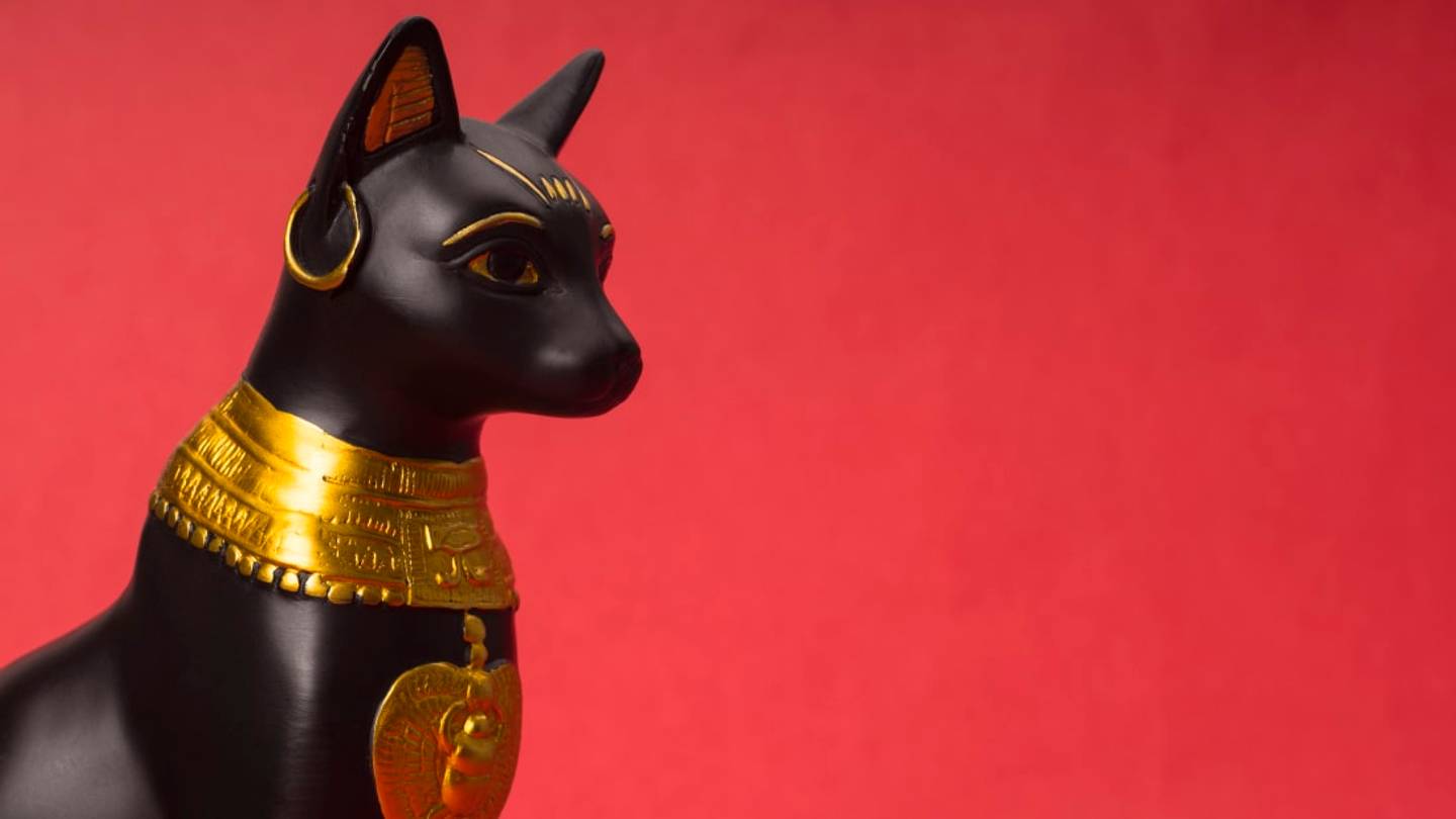 Dozens of Cat Mummies, Plus 100 Cat Statues, Discovered in 4500-Year-Old Egyptian Tomb