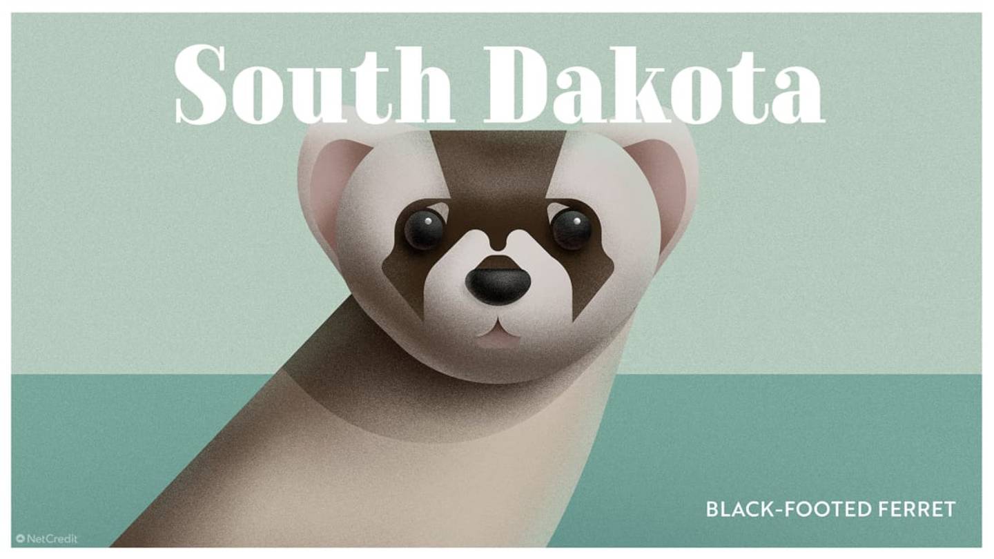 These Nature Posters Show the Most Endangered Animal in Each State
