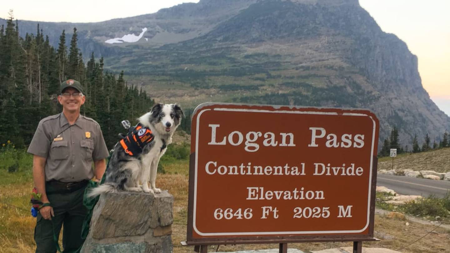 Meet Gracie: The Resident 'Bark Ranger' at Montana's Glacier National Park