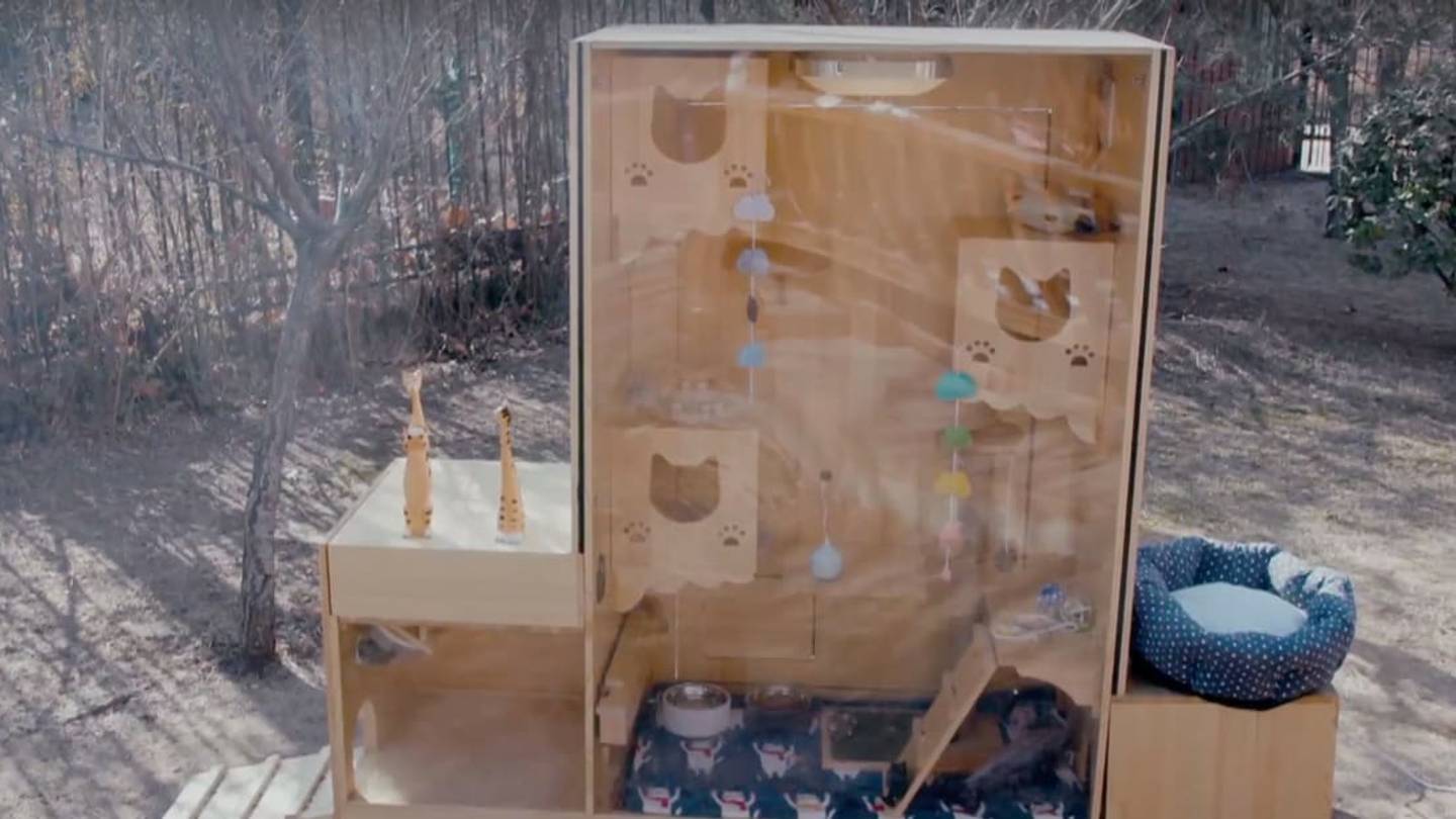 Computer Engineer Designs Worldâs First AI-Powered Cat Shelter in Beijing