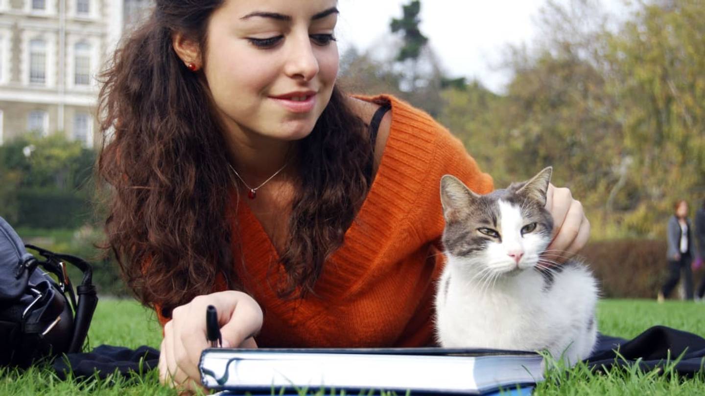 A New Study Argues a Cat Parasite Might Make You More Ambitious