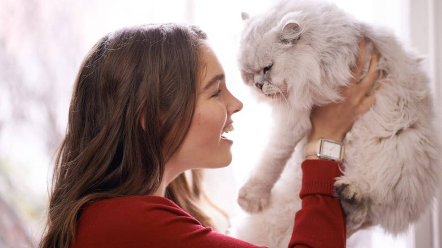 Why Cutesy Names Are the Most Effective Way of Getting Your Cat's Attention