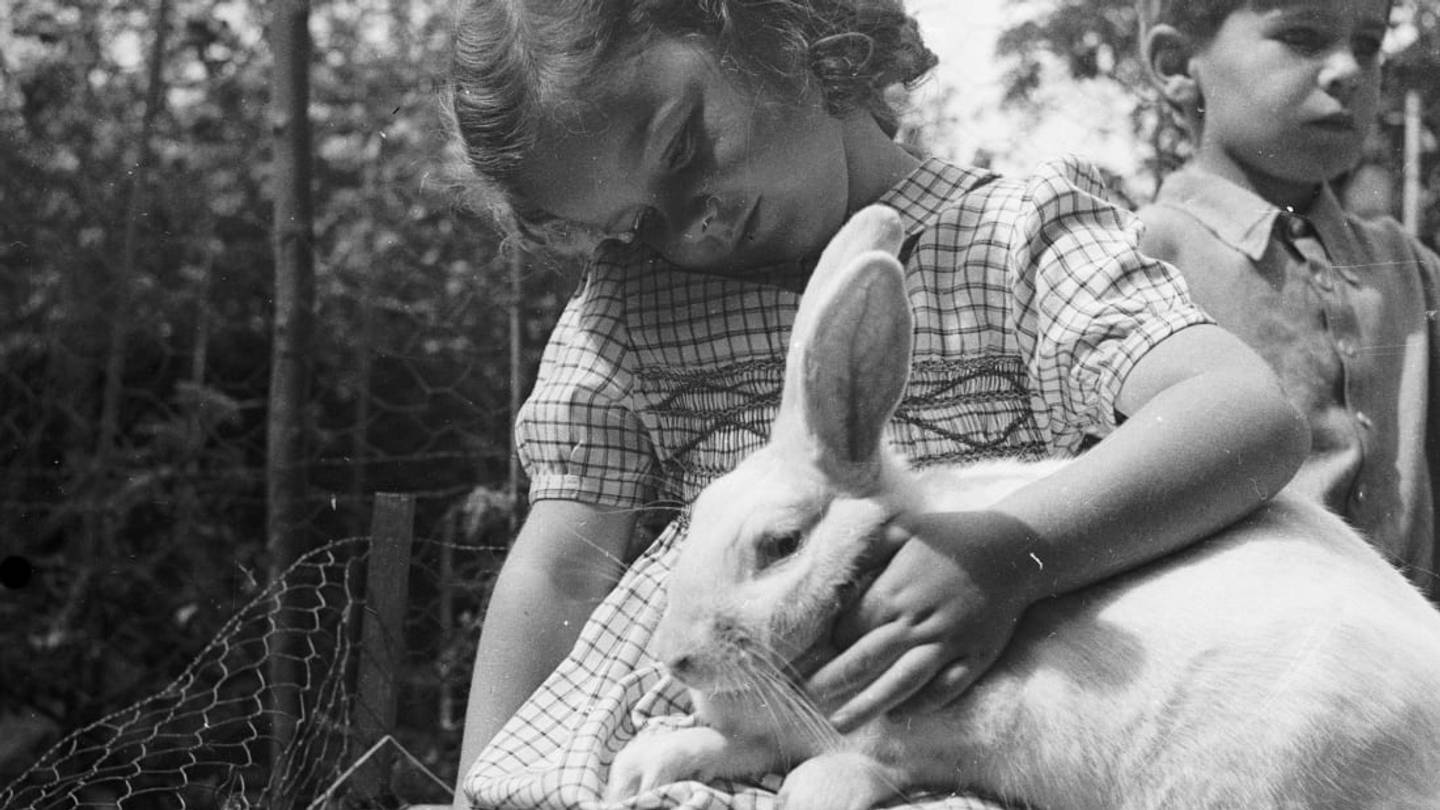 14 Adorable, Vintage Photos of Rabbits