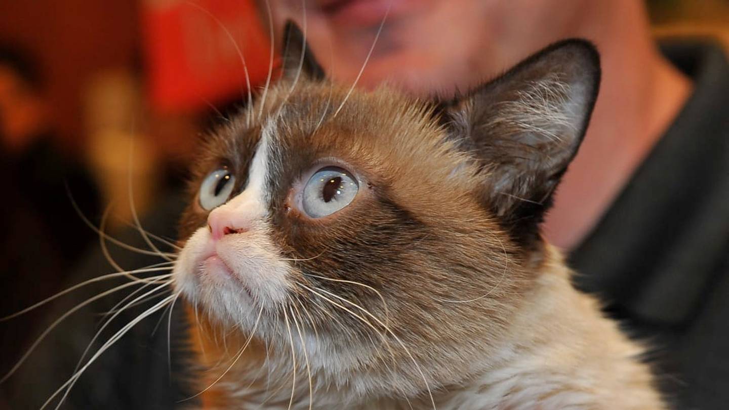 10 of the Richest Pets in History