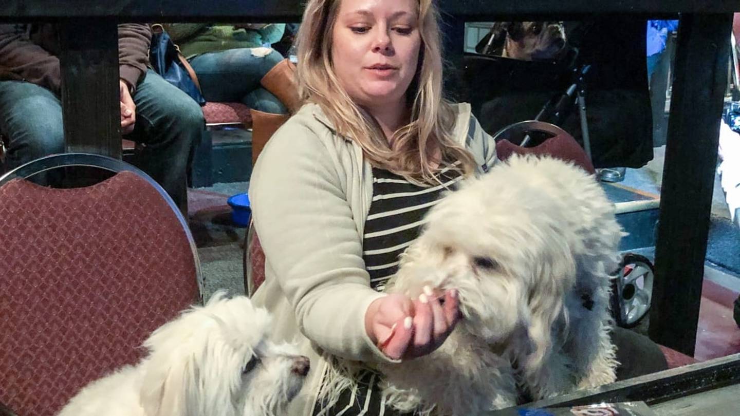 Plano, Texas Is Home to a Dog-Friendly Movie Theater That Serves Bottomless Wine or Whiskey
