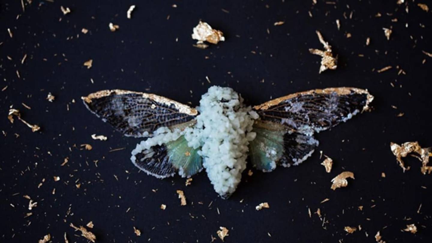 Artist Combines Chemistry and Art to Grow Crystals on Skulls