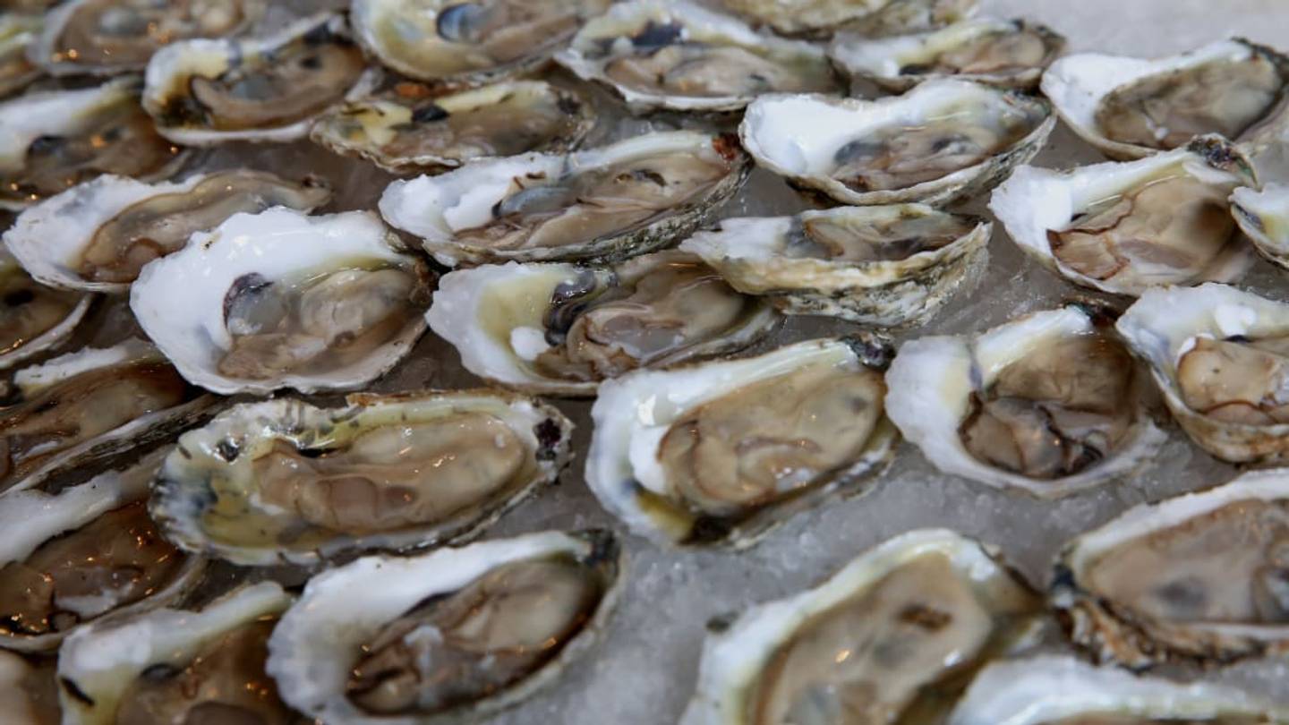 Mollusk Mania: Why New York City Could Have Easily Been Dubbed 'The Big Oyster'