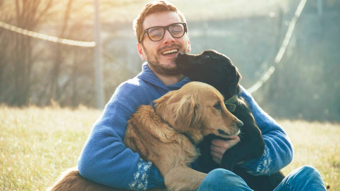 Want to Reduce Your Stress In 10 Minutes? Pet a Cat or Dog