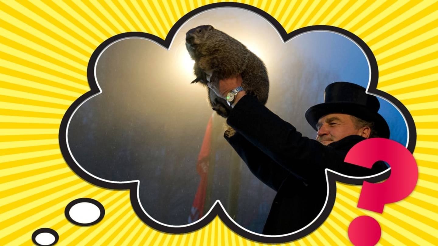 How Accurate Are Punxsutawney Philâs Groundhog Day Weather Predictions?