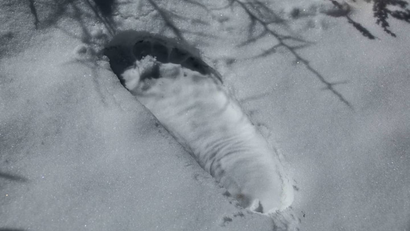 15 Mysterious Facts About Yetis