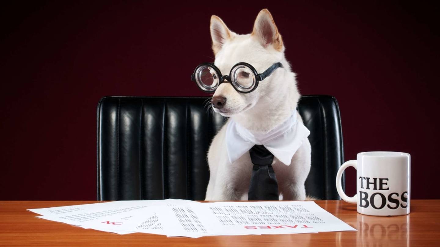14 Animals Who Ran for Office