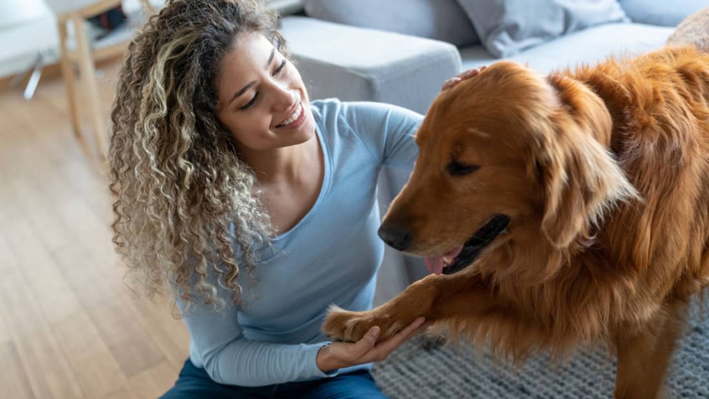 The Reason Dogs Put Their Paws on You