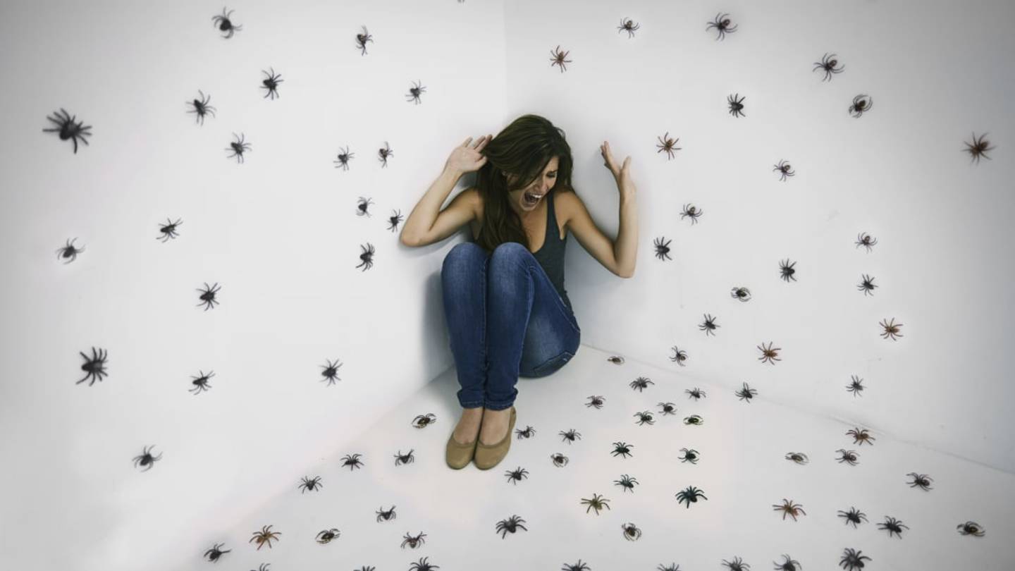 Why Are Humans Afraid of Bugs?