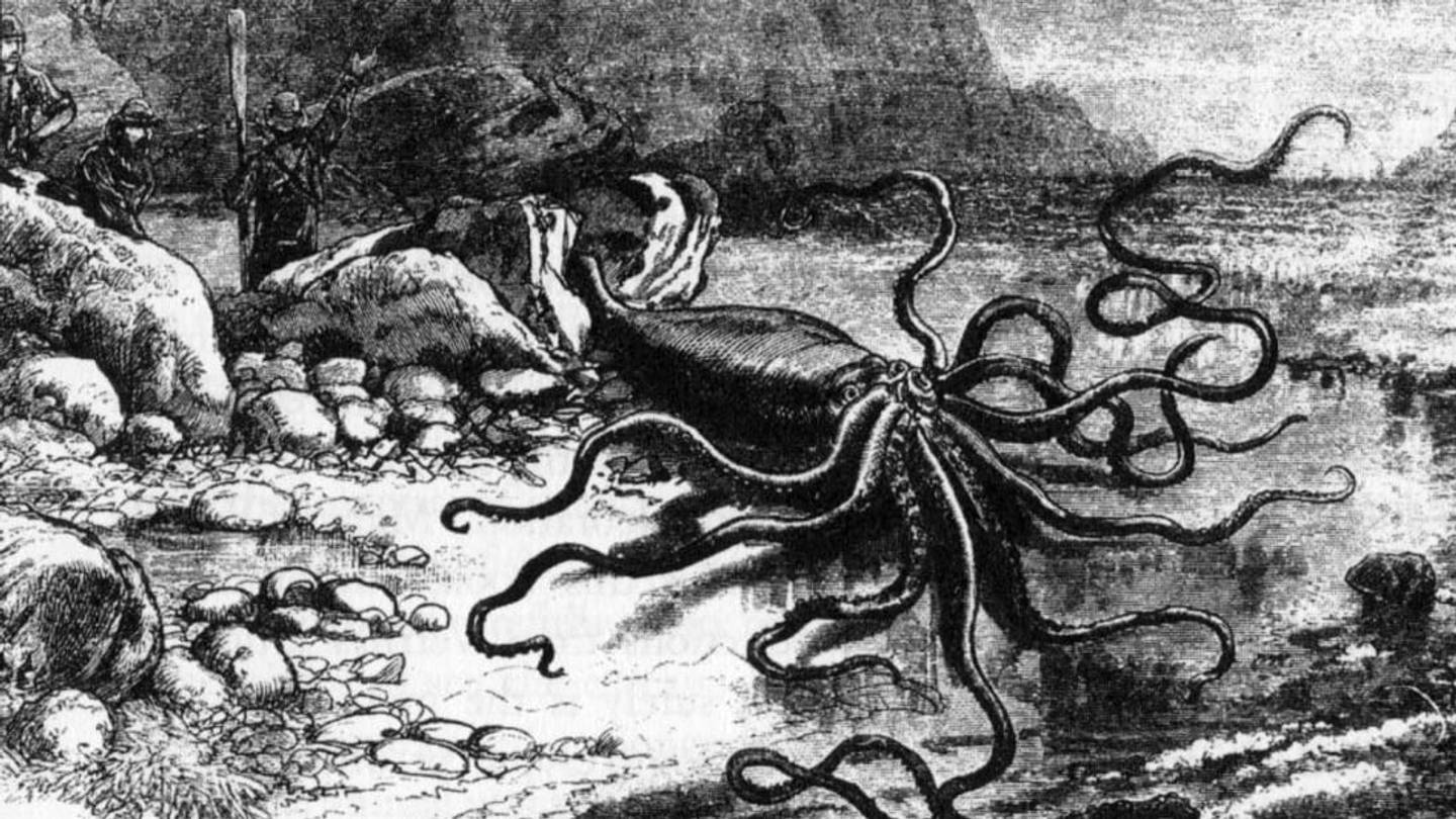 20 Freaky Facts About the Giant Squid