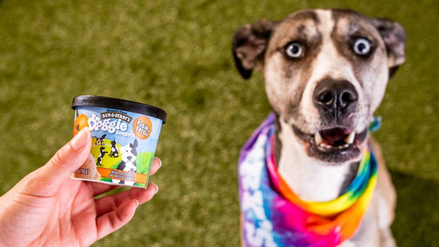Ben & Jerryâs Now Makes Ice Cream for Dogs, Featuring "Rosieâs Batch" and "Pontchâs Mix"