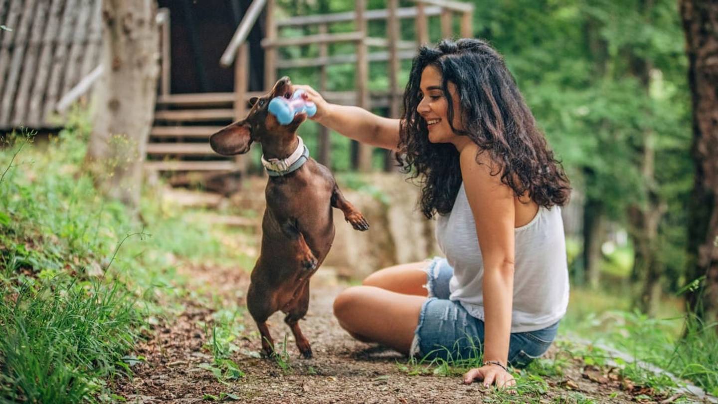 Want to Make Yourself Happy? Buy Your Dog a Gift (Science Says So)