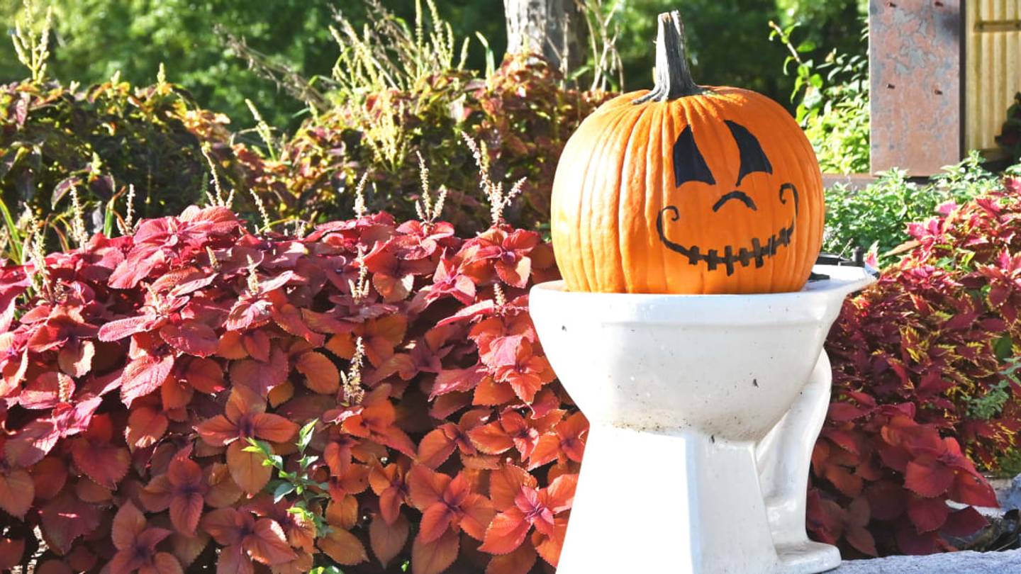 Apparently, There's Pumpkin Spice Toilet Paper Now—Here's Where to Get It