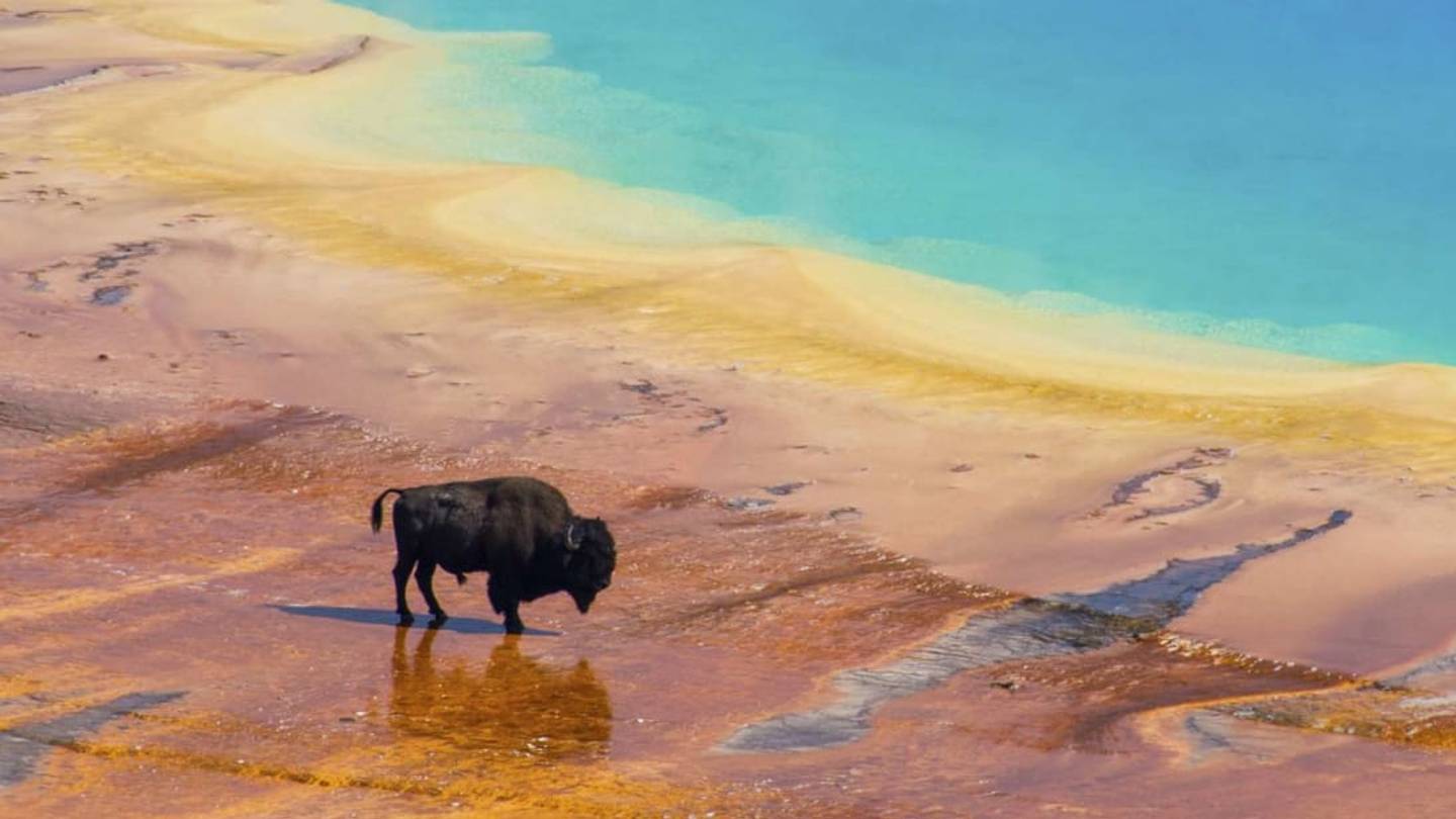 15 Things You Might Not Know About Yellowstone National Park