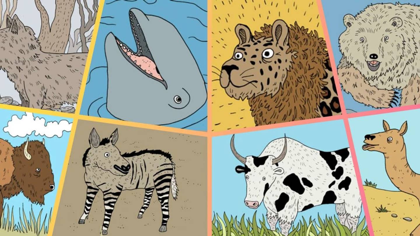 8 Hybrid Animals With Awesome Portmanteau Names