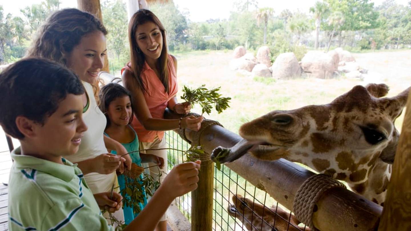 11 Interactive Zoos