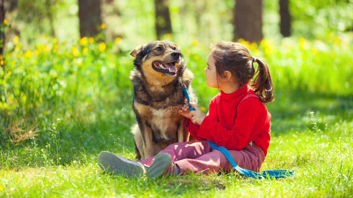 15 Obscure Words Every Pet Owner Needs in Their Vocabulary