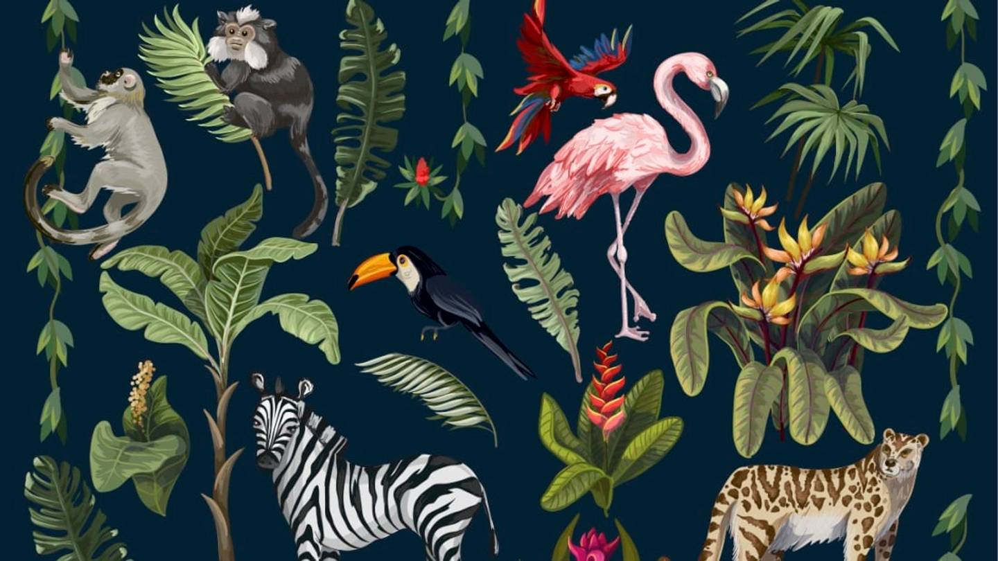 50 Incredible Animal Facts You'll Want to Share