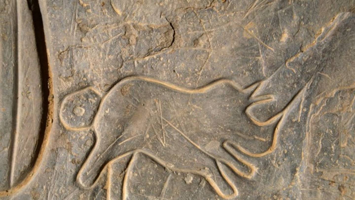 Explore 30,000 Years of African Rock Art
