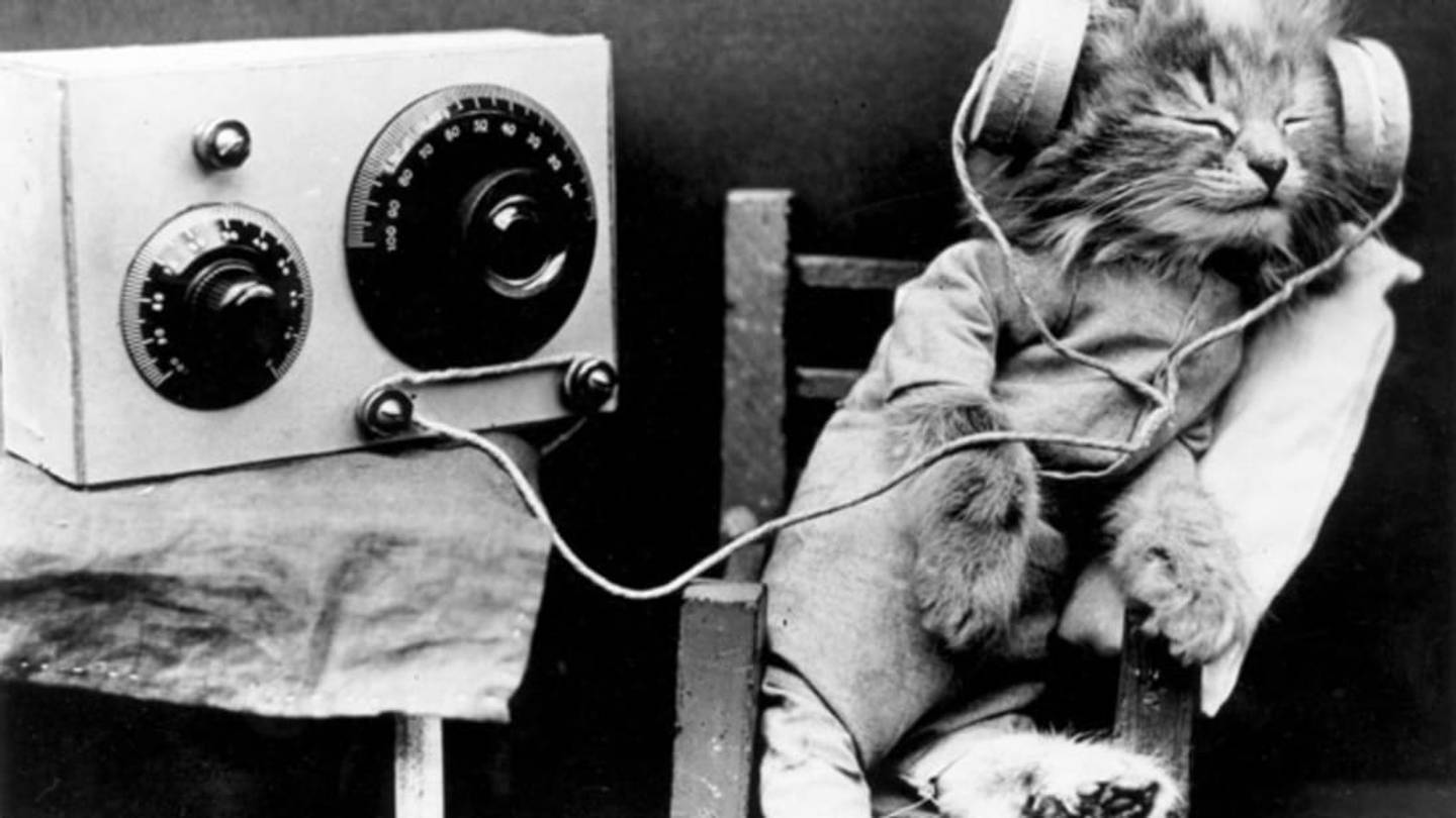 22 Vintage Photos of Animals Acting Like People