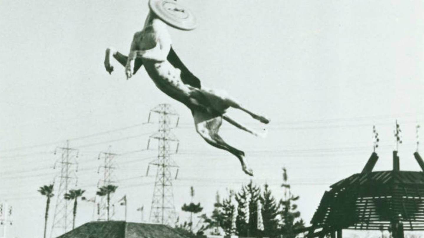 "The Surest Jaws on All Four Paws": Ashley Whippet, Dog Frisbee Pioneer