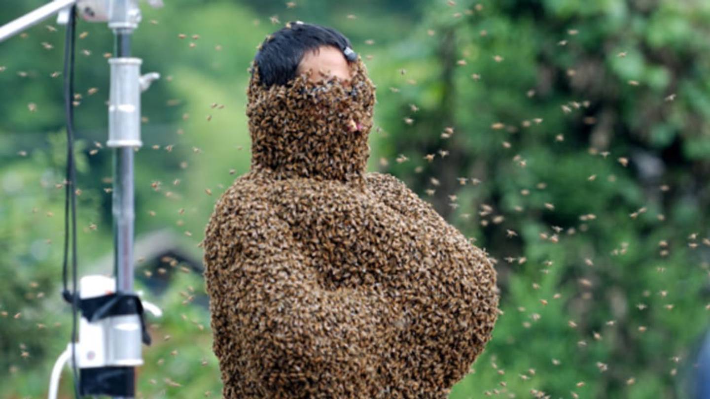 The Buzzing World of Bee Bearding
