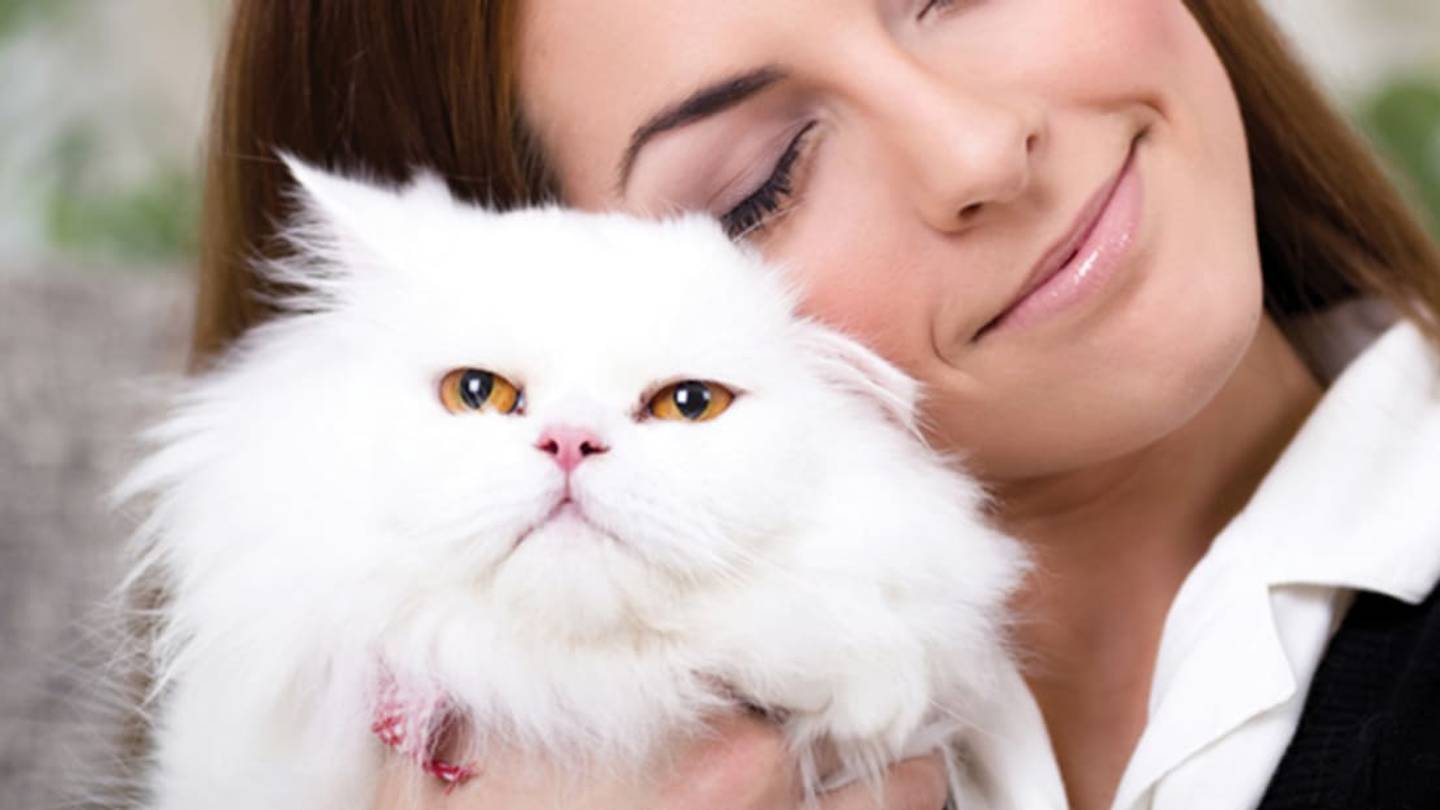 Your Cat Isn't as Attached to You as You Think