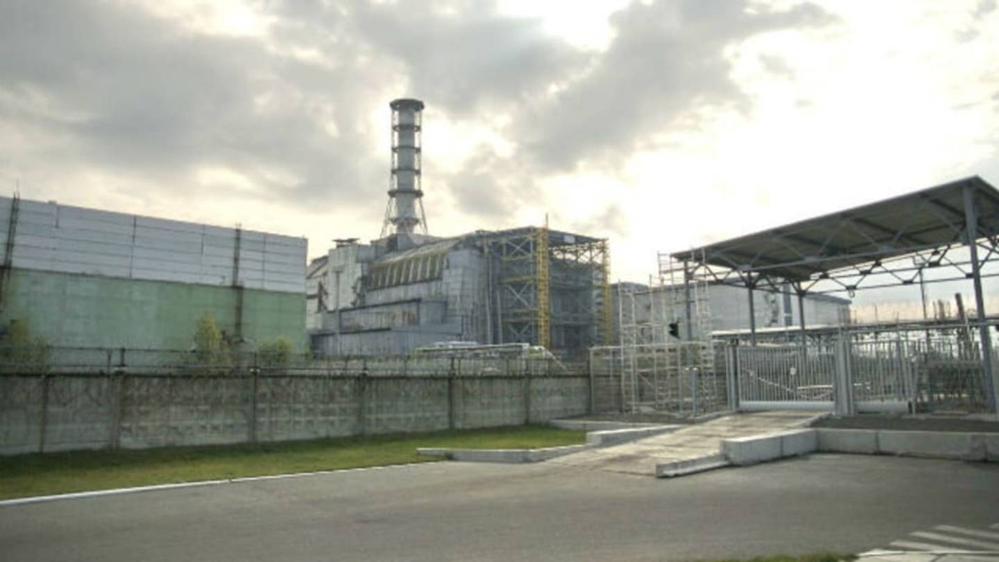 Chernobyl's Wildlife Population Has Grown Since the Disaster