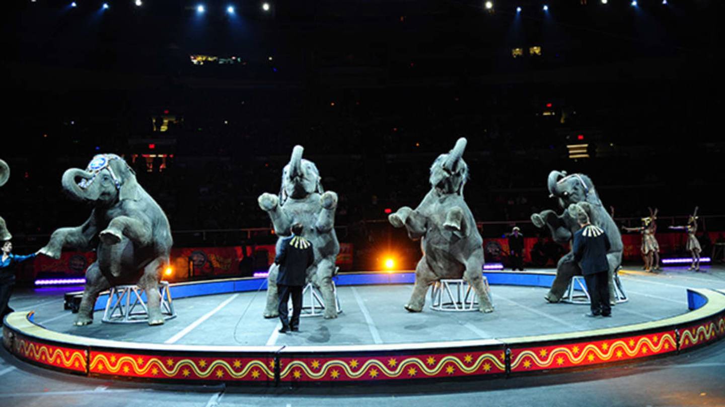 11 Facts About the History of Circus Elephants