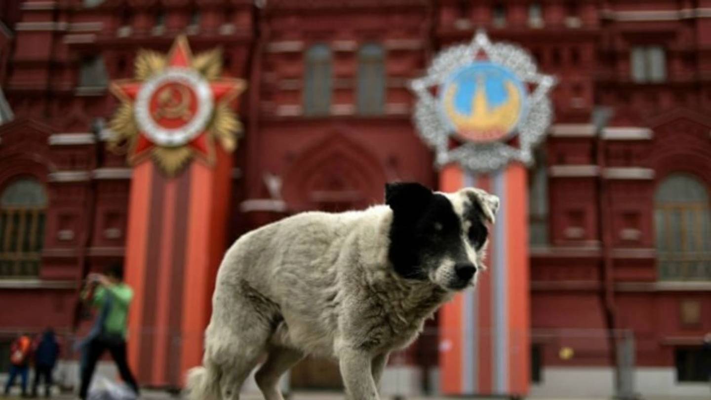 10 Places Where Humans and Wild Animals Live in Harmony