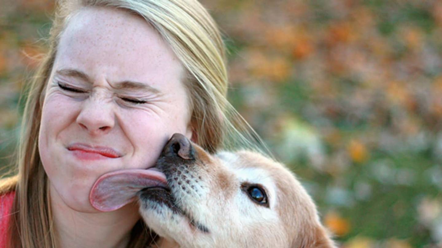 Think Twice Before Letting Your Dog Lick Your Face