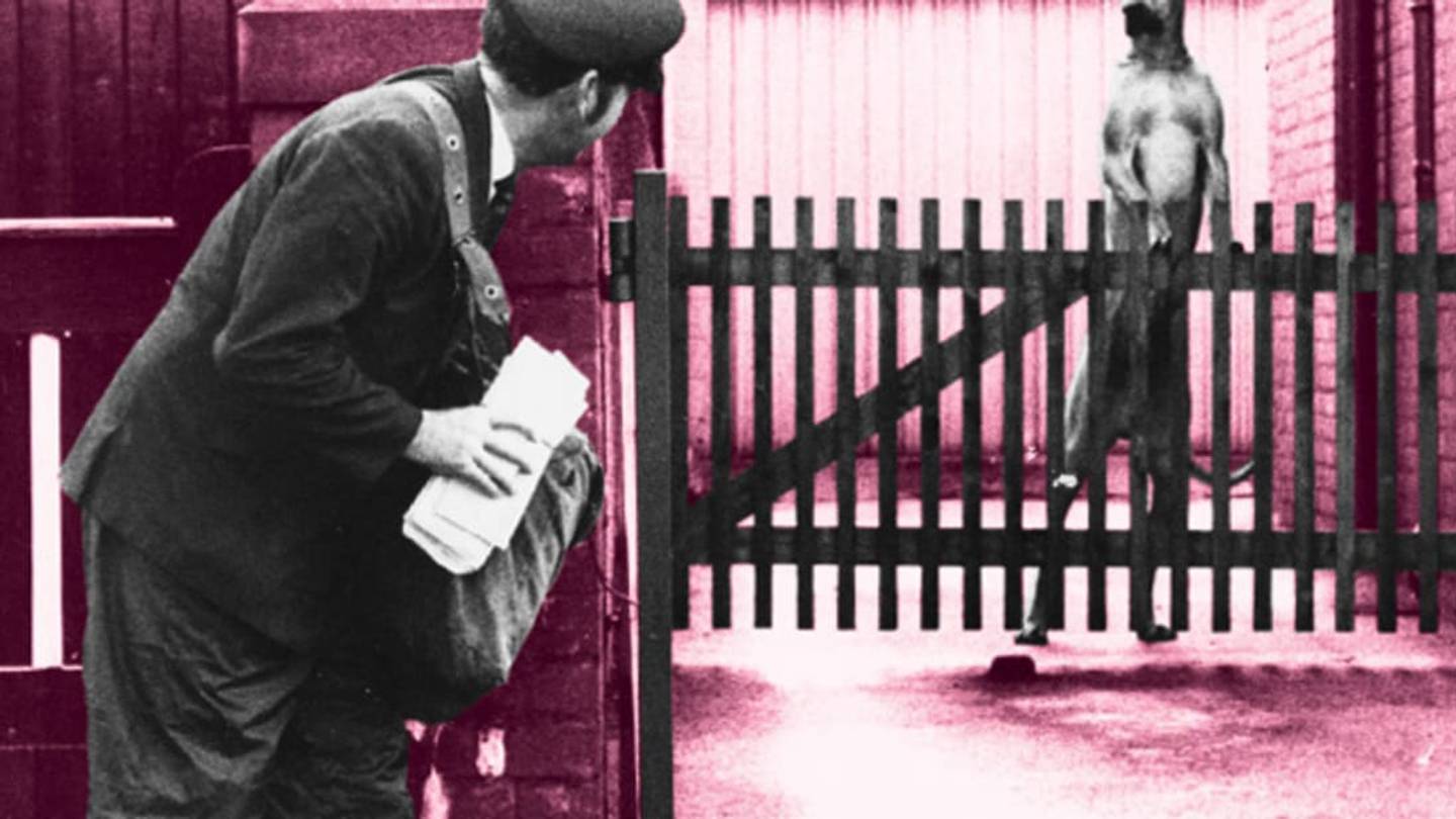 Why Your Dog Hates Postal Workers