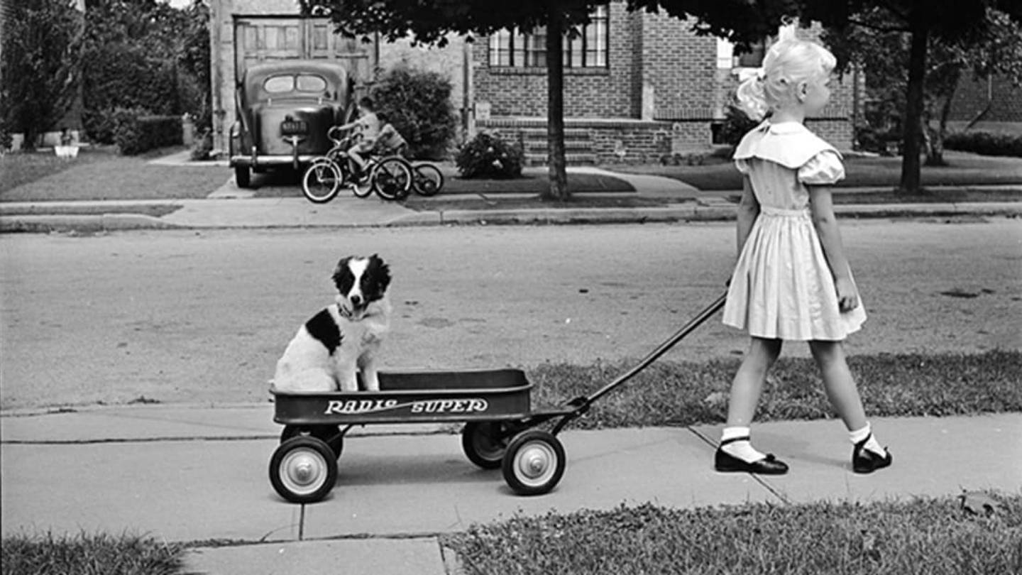 Dogs May Have Been Domesticated Twice, New Study Argues
