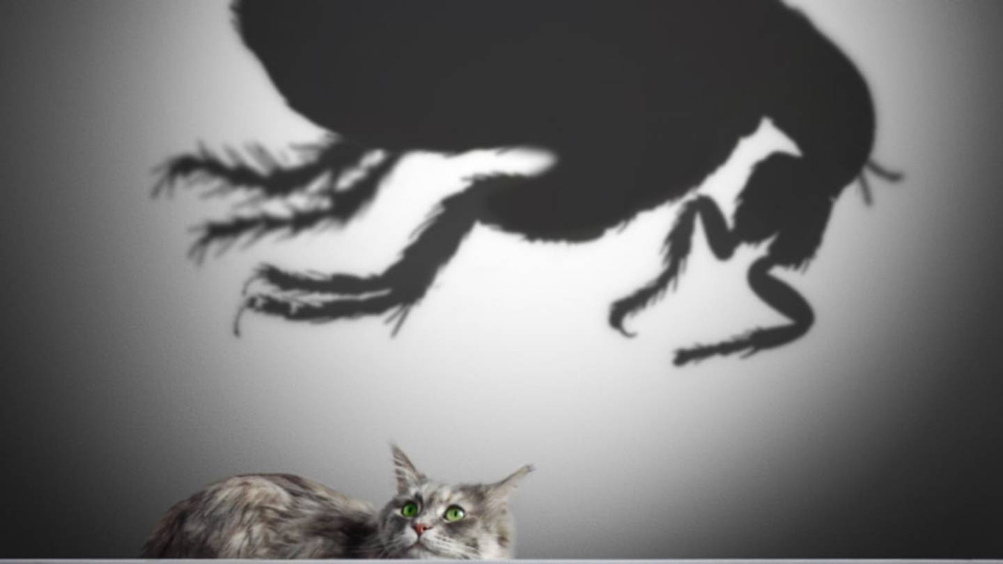 5 Itchy Facts About Fleas