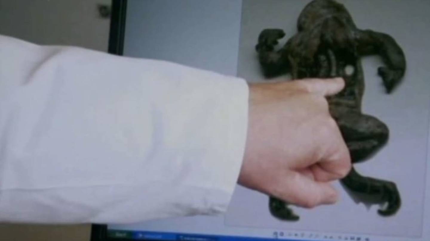 6 Weird Animal Phenomena Investigated by Science