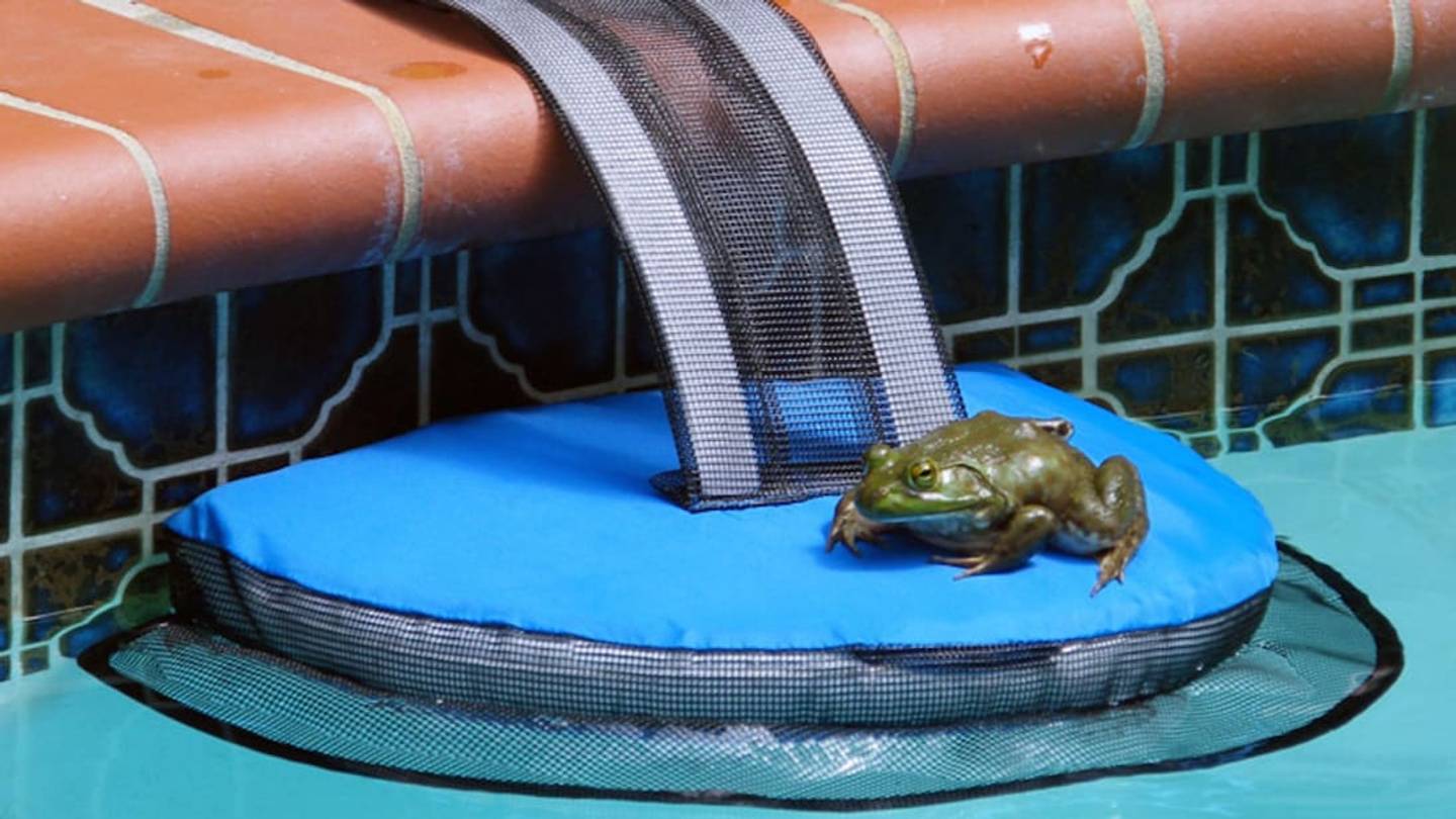 This Simple Device in Your Pool Can Save an Animal's Life