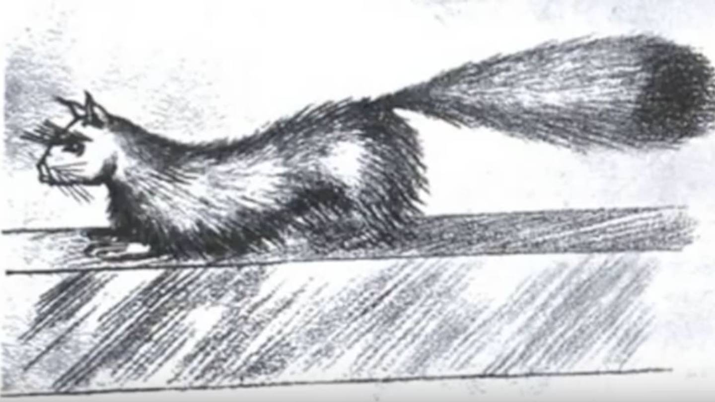 The Strange Story of Gef The Talking Mongoose