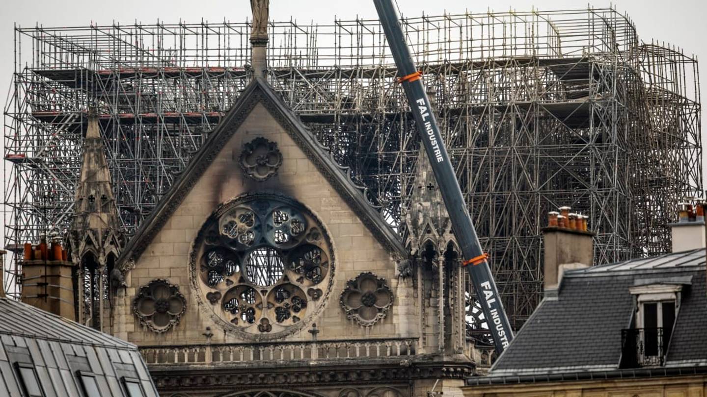 Notre-Dame's Rooftop Bees Survived the Historic Fire