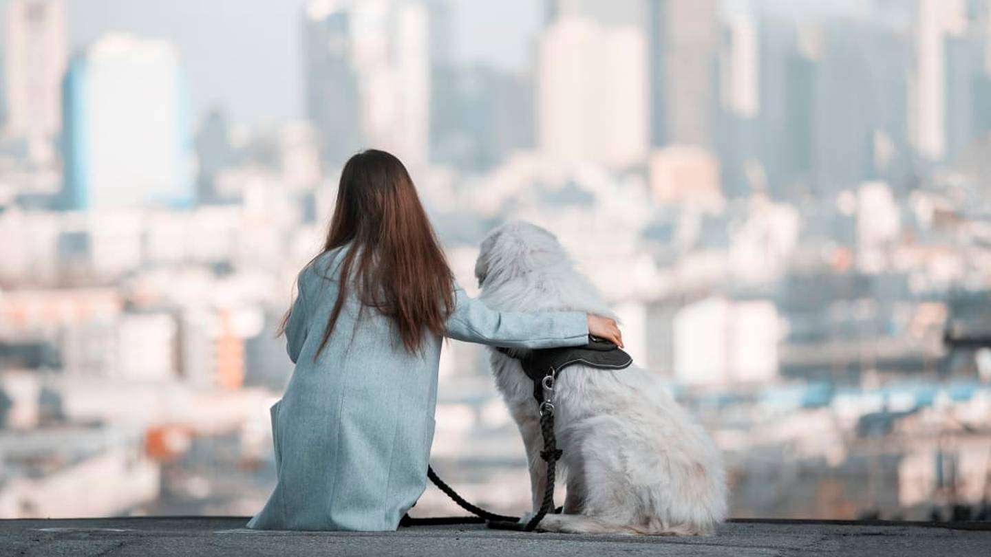 10 Best Cities for Dog Lovers Around the World