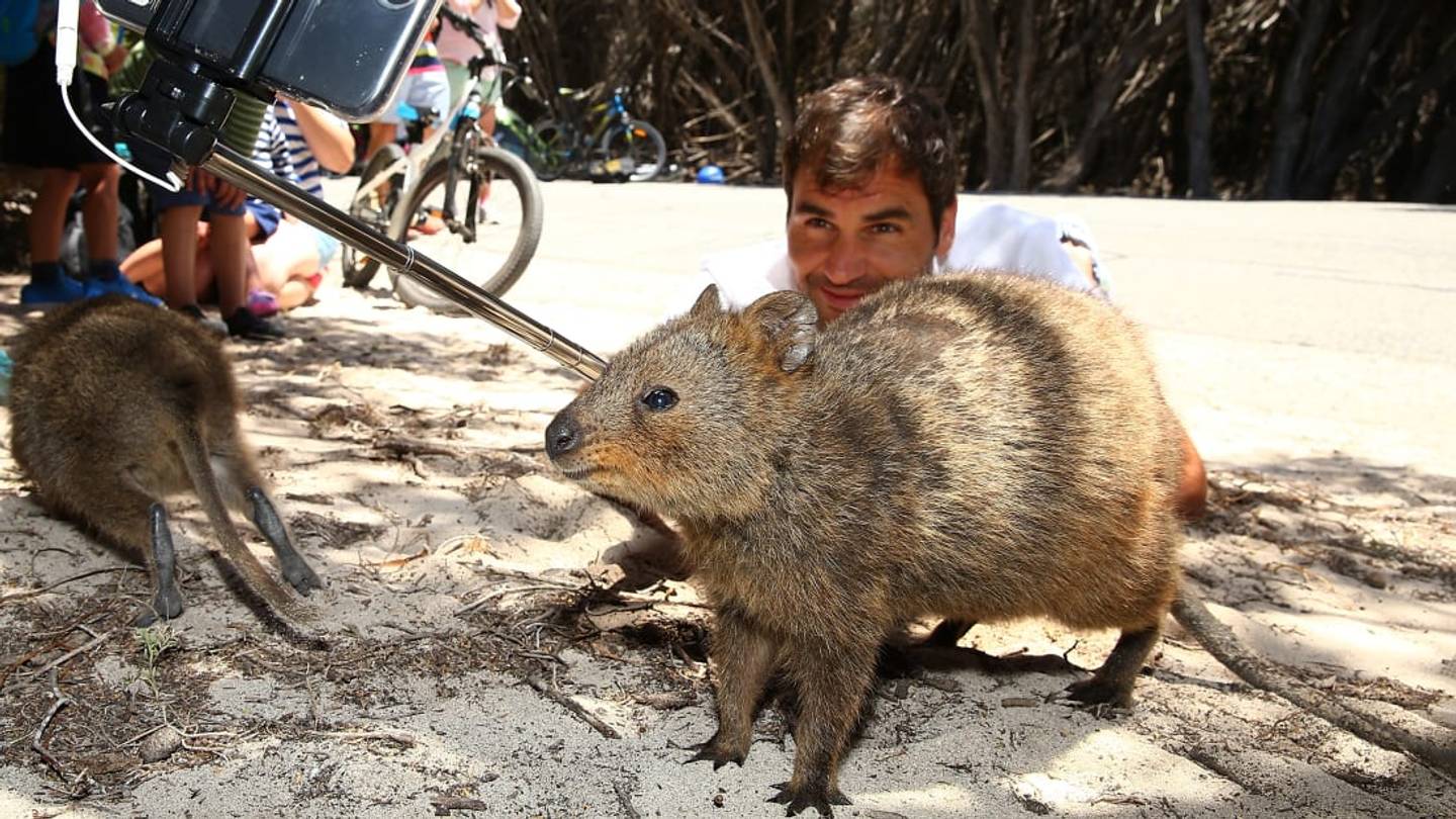 Why Conservationists Want People to Take Selfies With Quokkas