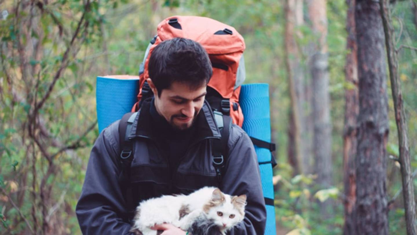 Cat Guides Lost Hiker Back to Safety in Swiss Alps